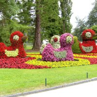 Mainau